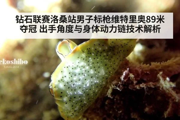 钻石联赛洛桑站男子标枪维特里奥89米夺冠 出手角度与身体动力链技术解析